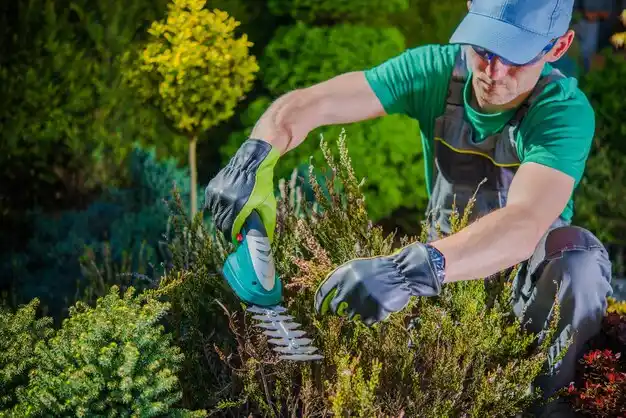 landscaping services Provencal